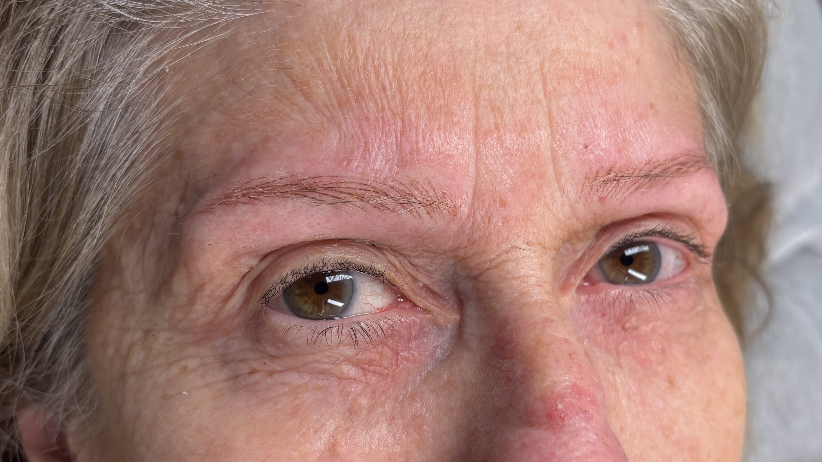 Detail eines hyperrealen Hairstroke Brow Ergebnisses